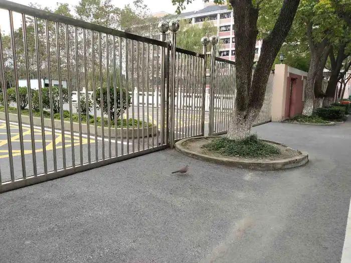 画与景,幼儿长卷画景