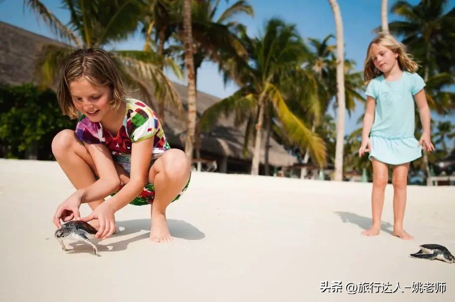 国内有直飞马尔代夫的航班吗 (北京上海直飞马尔代夫复航)