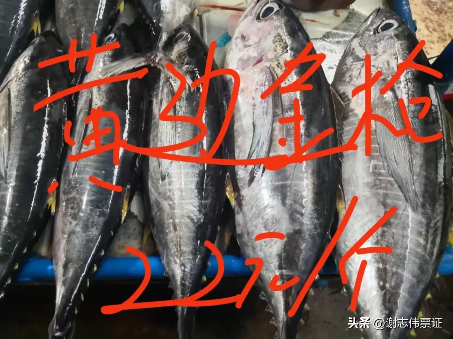 海南风情（015）上埇村海鱼价目知多少