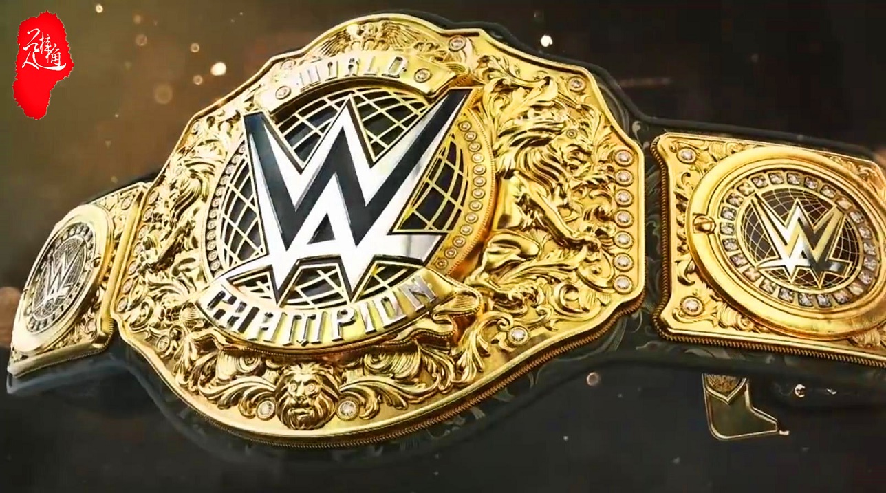 wwe赛斯两次击败猛兽,wwe赛斯受伤后谁获得了冠军