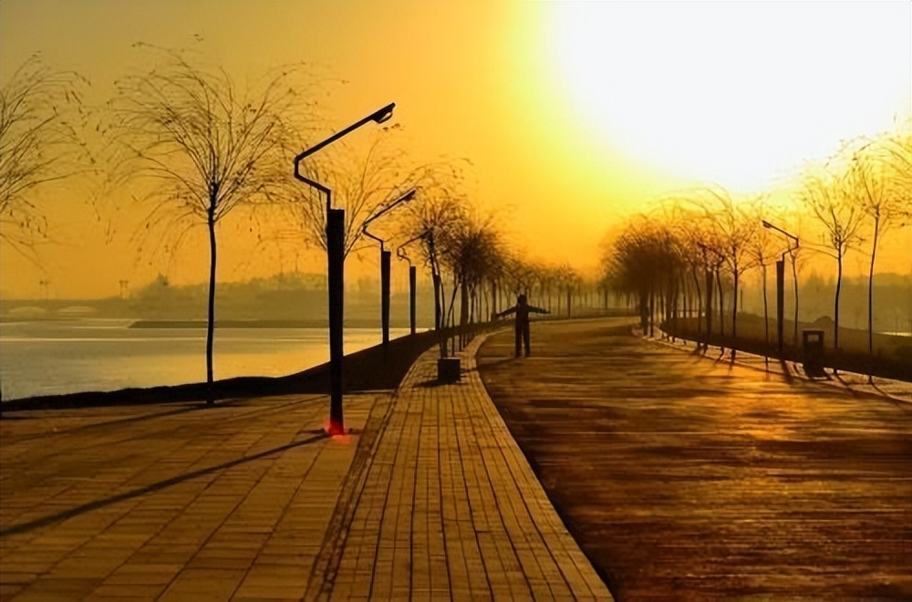 关于太阳你真的了解吗,关于太阳你都知道些什么