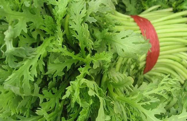 春分几月几日,春分节气适合穿啥衣服