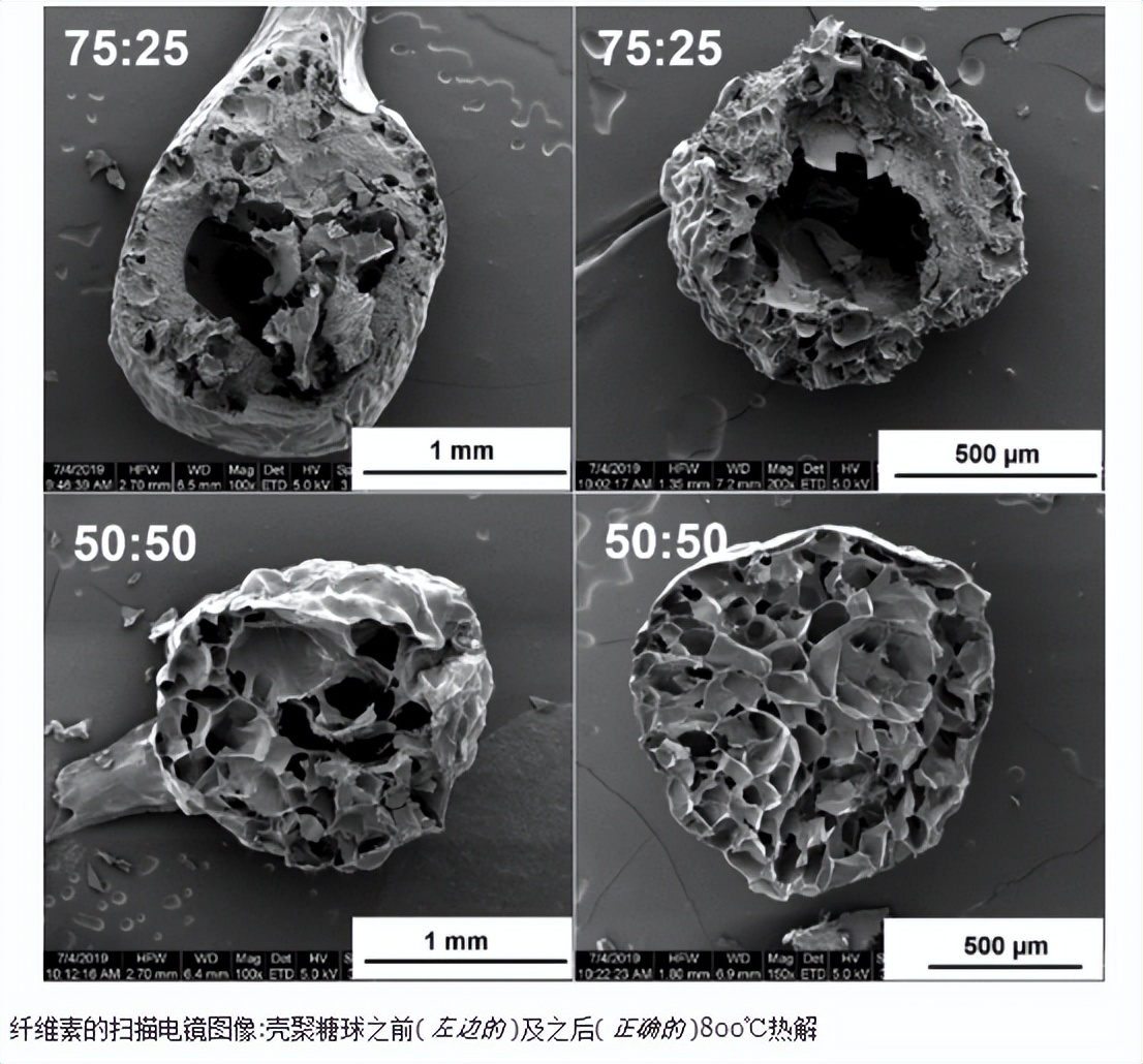壳聚糖共混物及其在电催化氧还原中的潜在应用