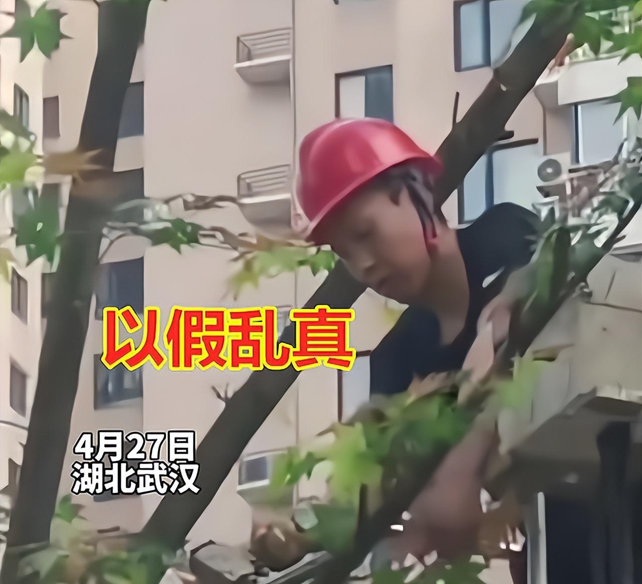 开发商冒充业主收房,开发商给买房者造假资料