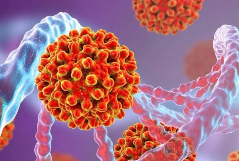 夫妻性传播疾病有哪些,得了性传播有哪些症状