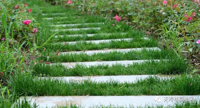 清明节的由来的简介,清明节的由来和风俗习惯