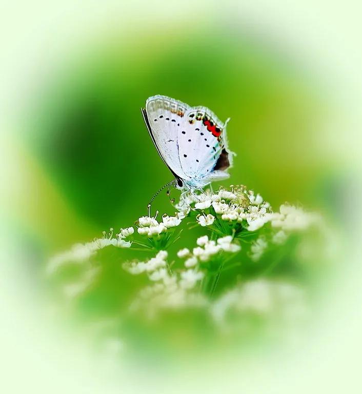 唯美手机壁纸高级感,唯美手机壁纸高清全面屏