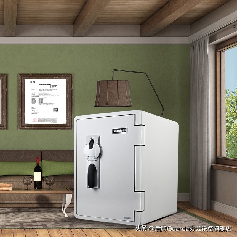 毫不夸张！有了它，财物储存还担心安全隐患吗？