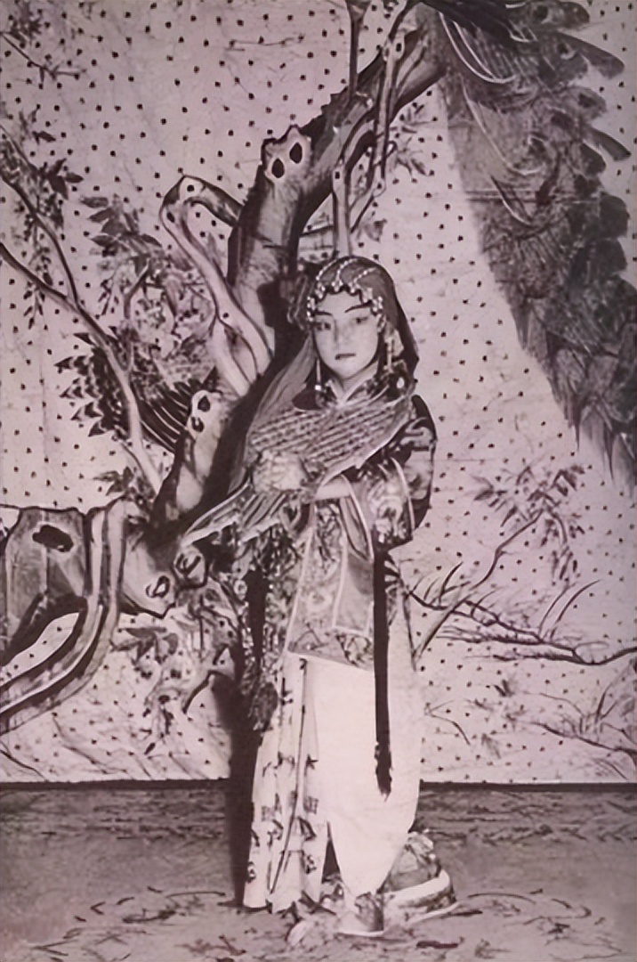 梅兰芳梅葆玖父子,梅兰芳之女梅葆玖哪年去世