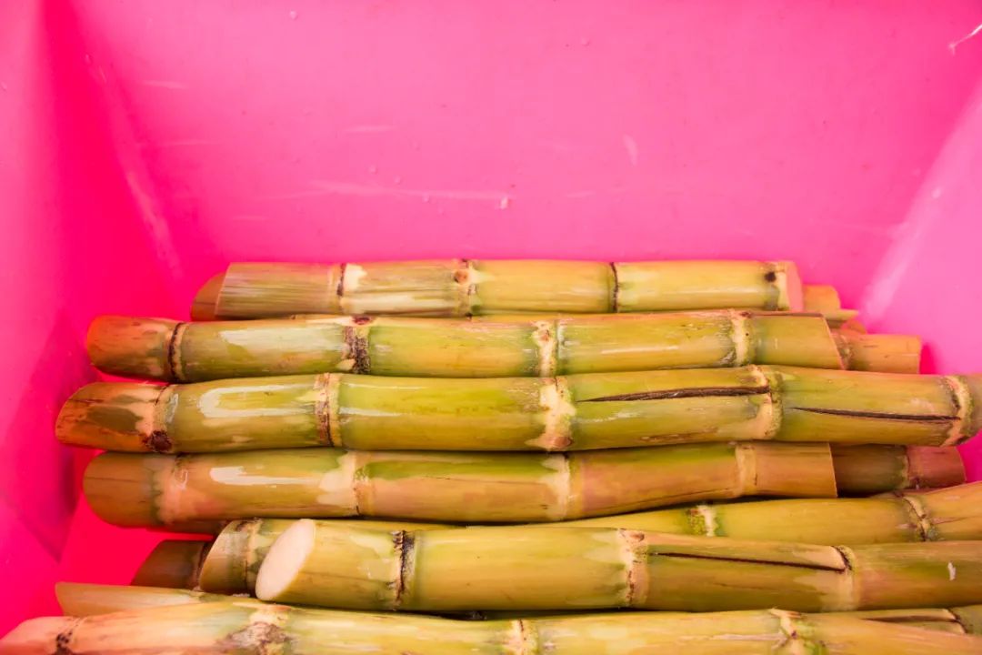 地理冷知识广西,广西南宁冷知识