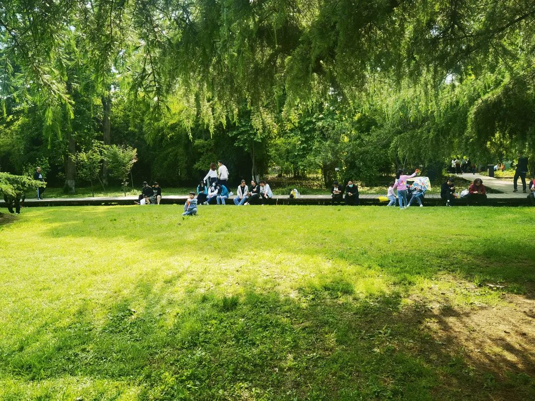 必去的花溪公园,假期余额不足游玩依旧火热