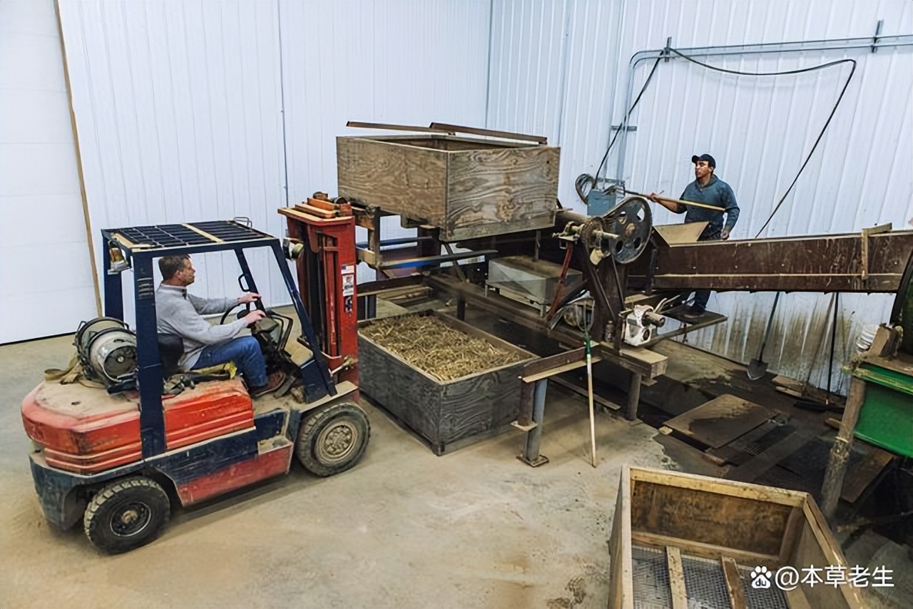 美国西洋参和中国西洋参有啥区别,美国产的西洋参好处是什么