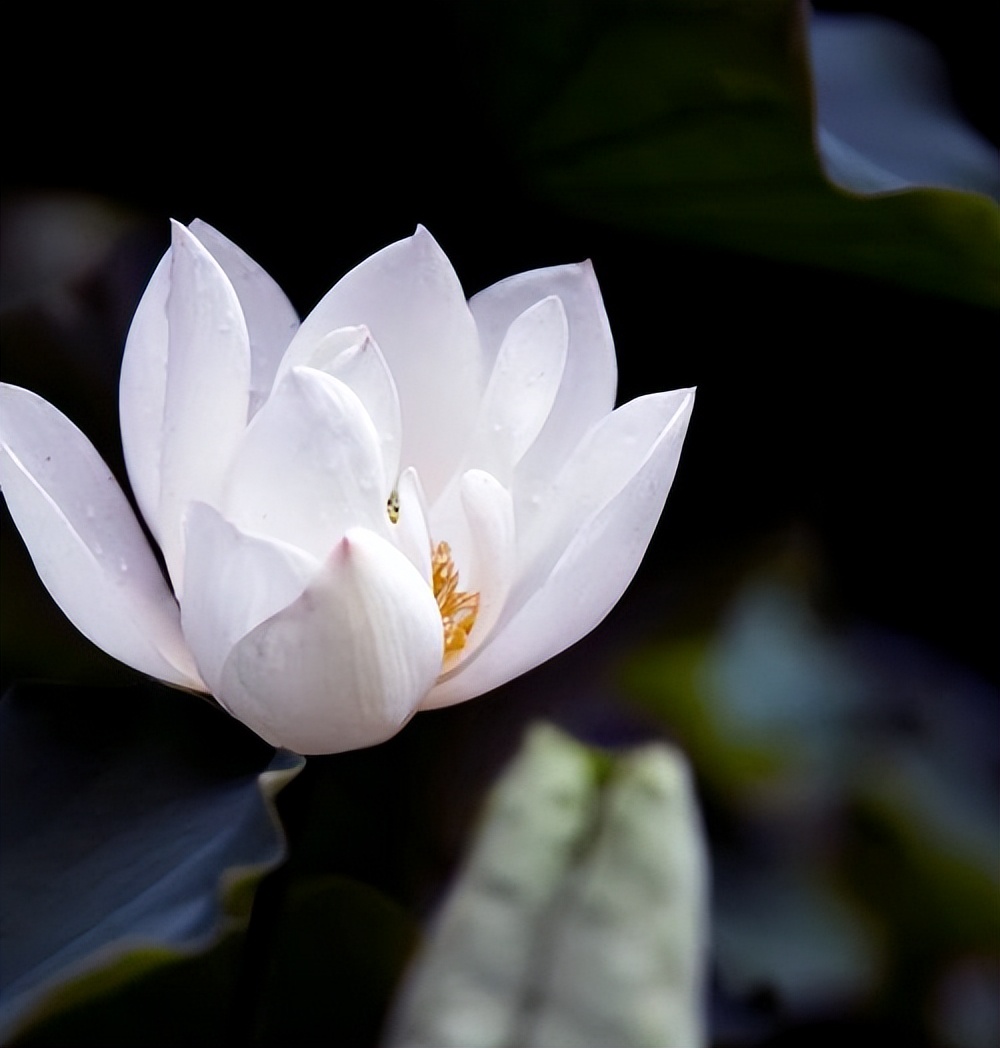 楞严经中讲自我和世界的形成,楞严经中最大的感悟