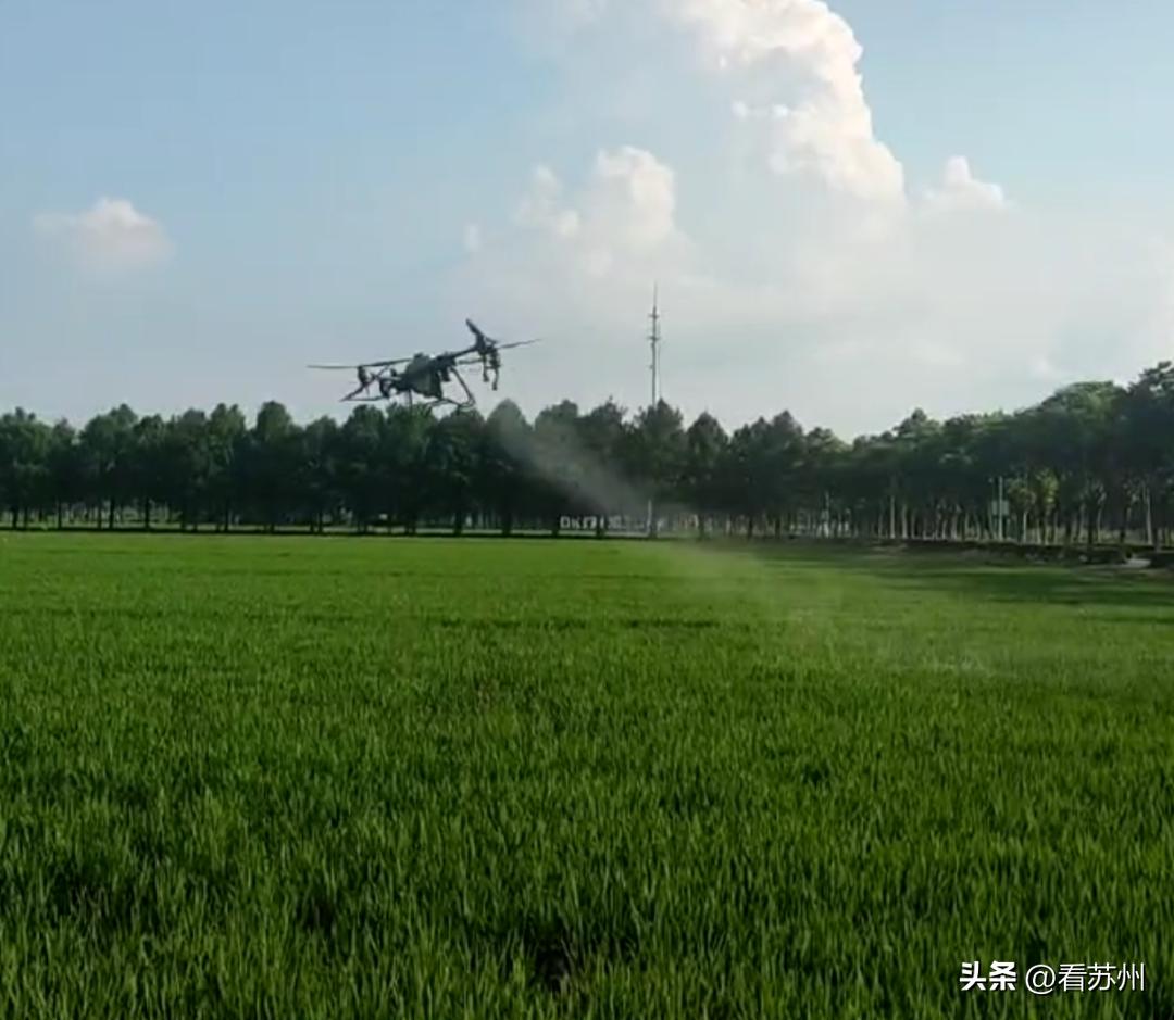 苏州湾现代农业公司,苏州无人化农场视频