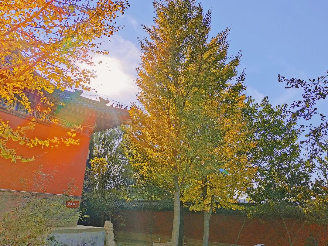 看赵云庙感受,赵云庙景区简介图片欣赏