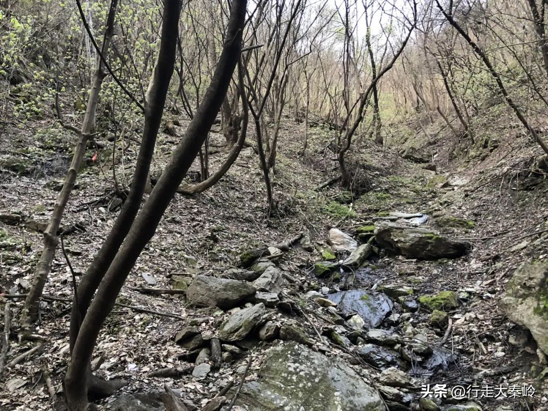 首阳山穿越大坪梁景色怎么样,大坪梁穿越到首阳山攻略