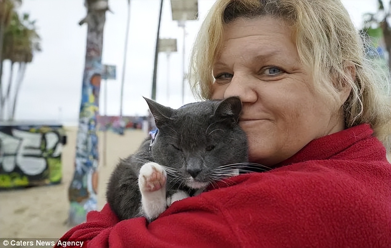 天生没眼睛的猫咪,天生没有眼睛的猫