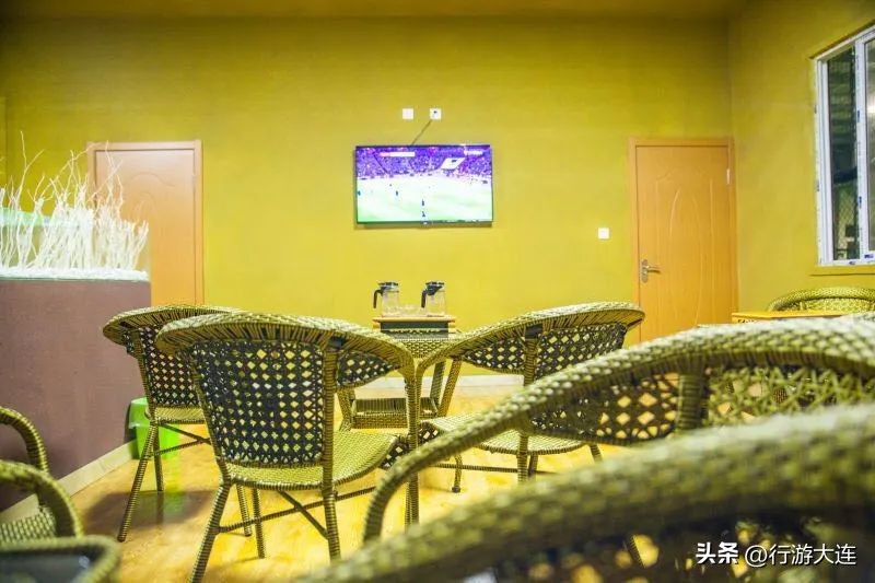 大连体育中心足球场专业足球场,世界杯足球场比赛场地