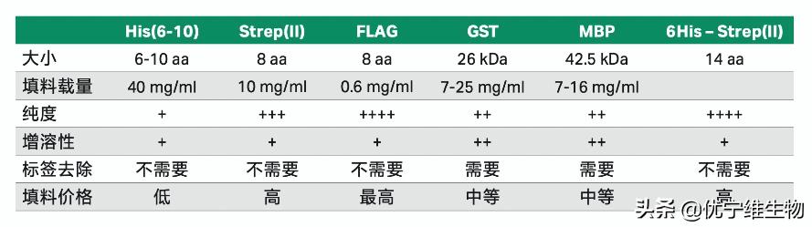 真核原核生物细胞壁,真核生物标记基因