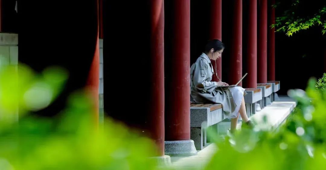 浙江大学2019本科招生简章,浙江大学本科2024招生简章