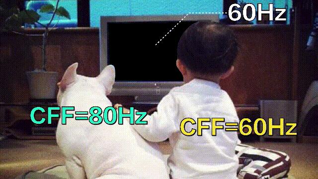 元宇宙给我们带来的影响,元宇宙对普通生活的影响