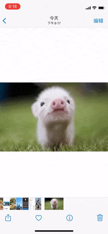 iphone相册的使用技巧,iphone相册隐藏怎么调出来