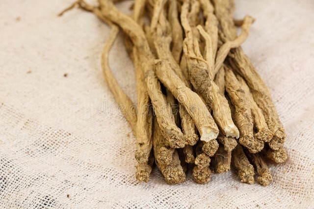 调理脾胃四味中药,调脾胃最好的一味中药