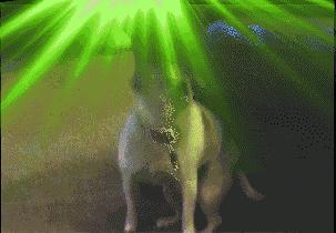 被吹爆的宝藏学习软件,被吹爆系列产品