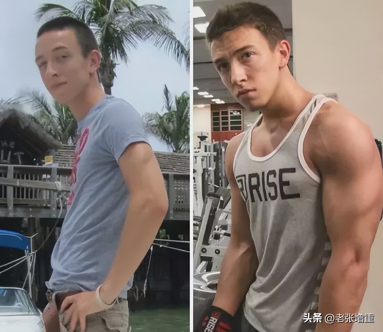 想长肌肉喝什么粉,增强力量是喝蛋白粉还是增肌粉