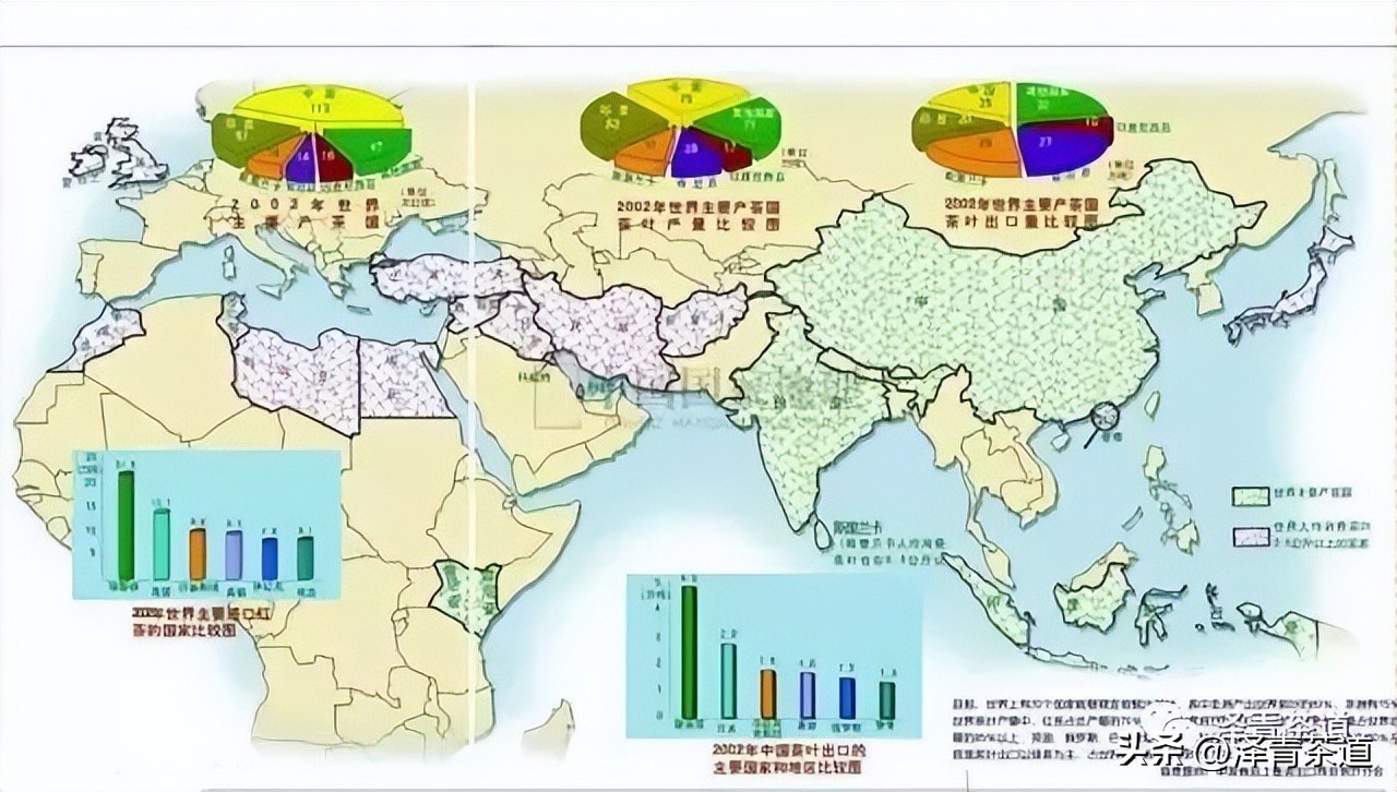 为什么茶树的南比北多,茶树生长的原因有哪些