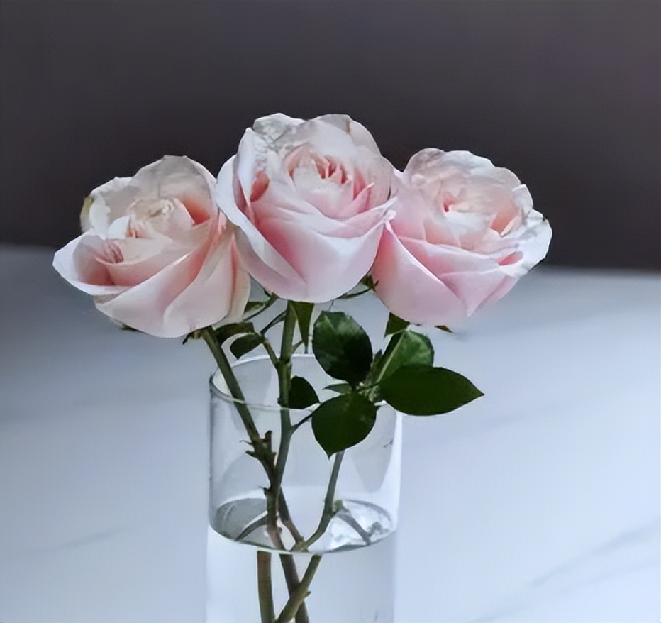 过敏原怎么去除,过敏原怎么去除小妙招