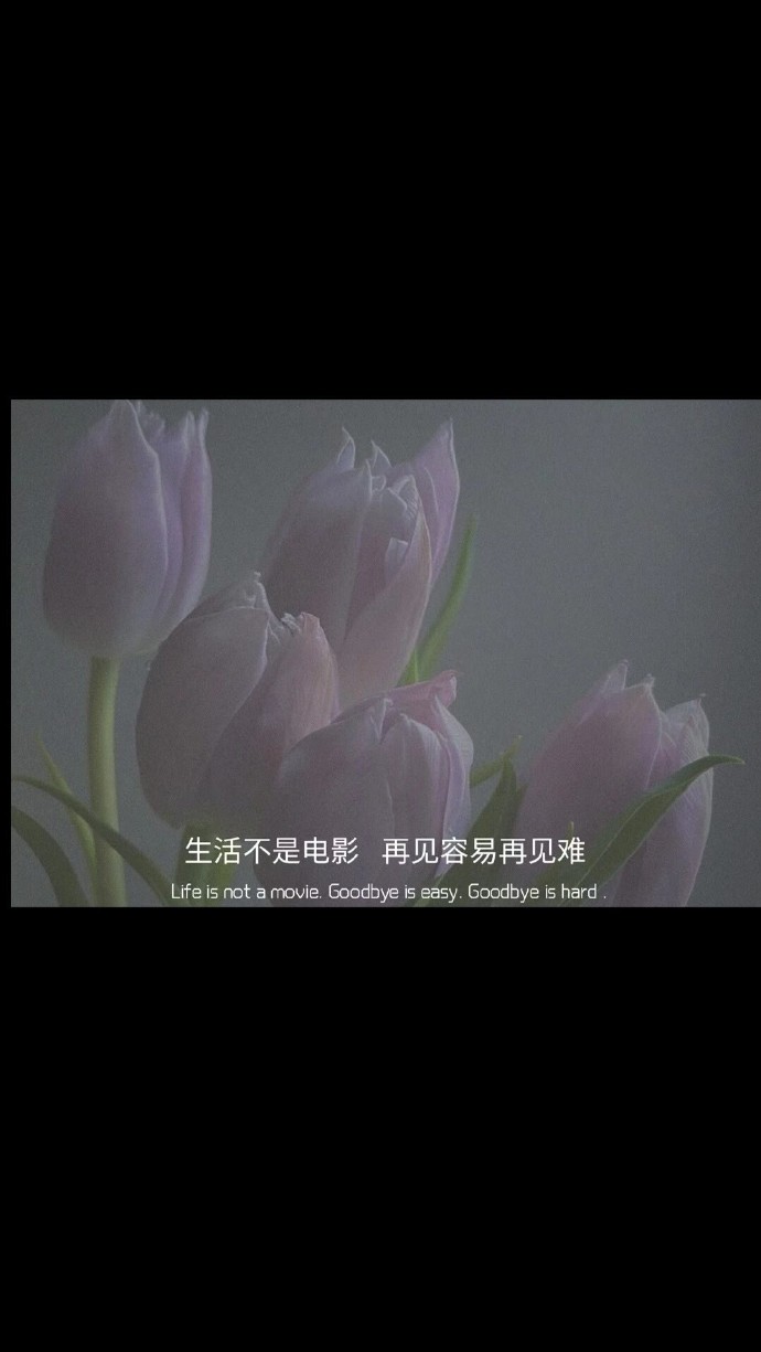 微信置顶文案表情符号,微信置顶的文案眼泪换不来