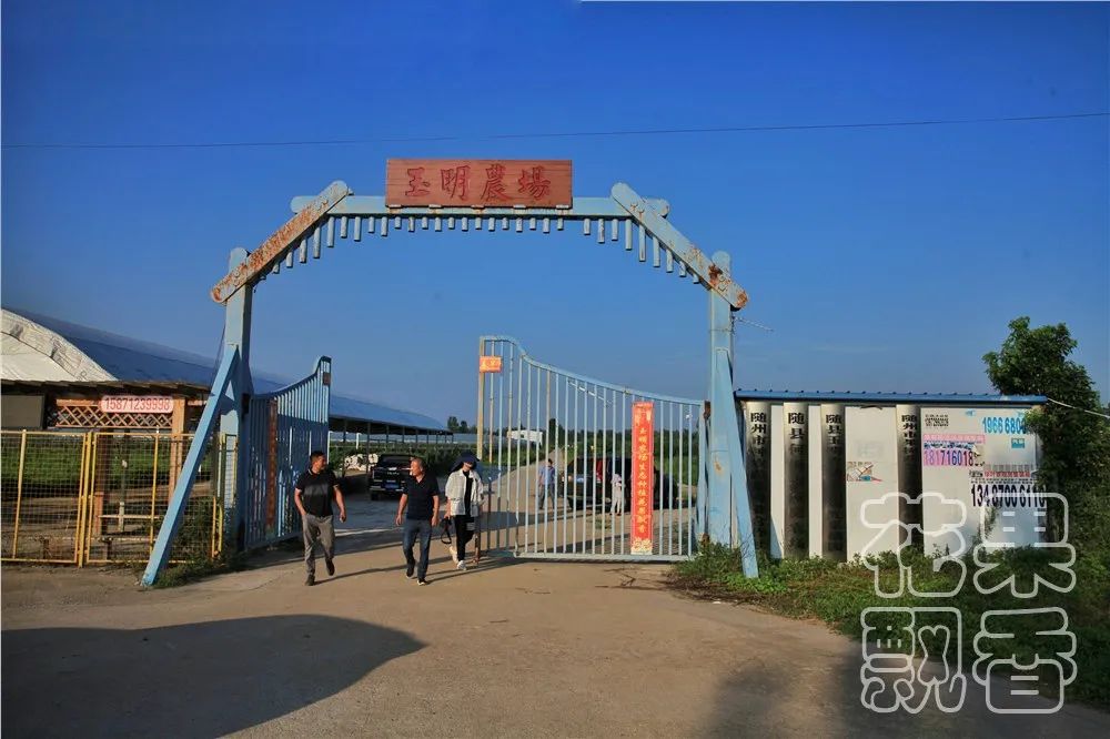 老板,这个水果多少钱?不用,你帮我介绍客户就行了