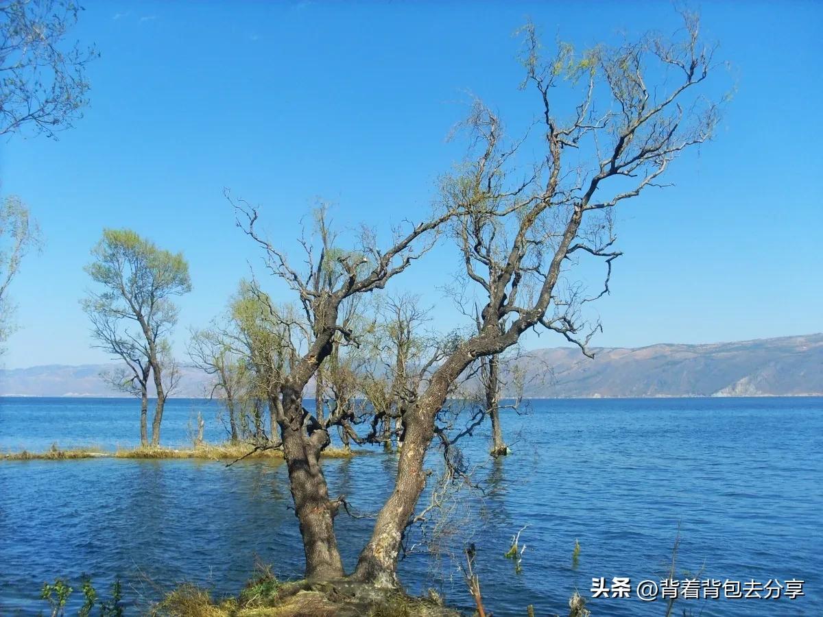 云南哪里最值得去免费景点,云南有没有免费旅游景点