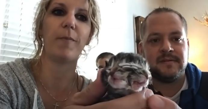 10种怪异的两个头动物,10种变异双头动物