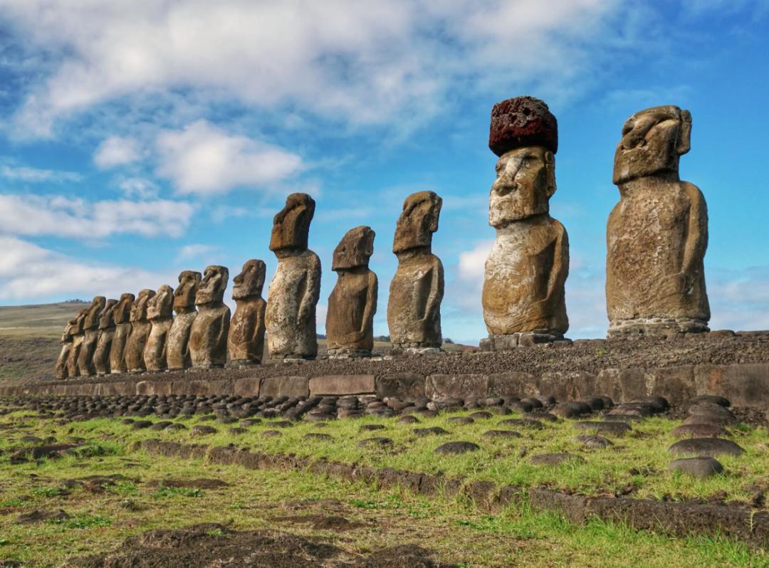 极端高温,灾难的开始…该如何拯救