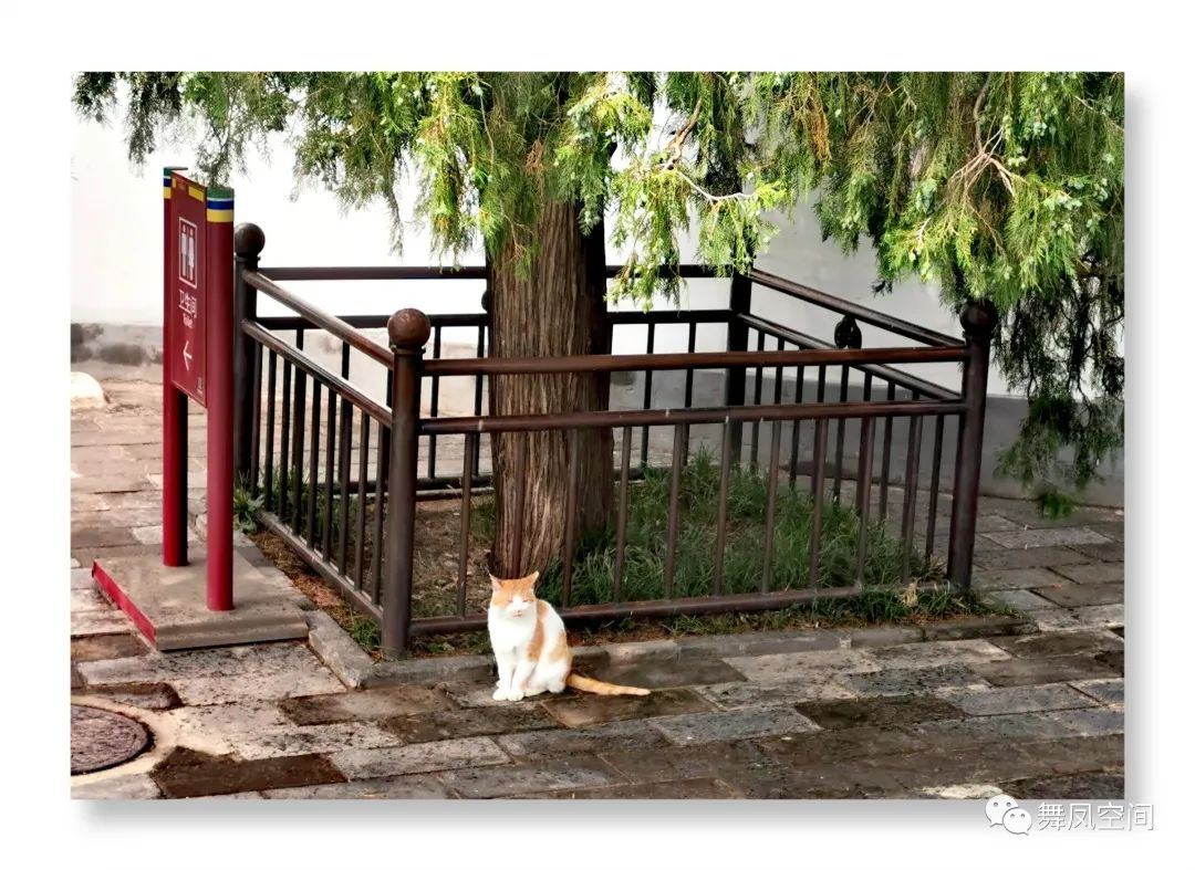 白塔寺是在北海公园里面吗,白塔寺是北海的白塔吗