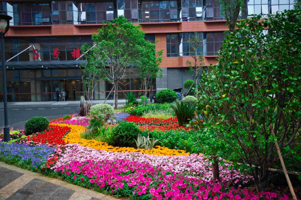 南昌大学第一附属医院象湖分院发展,南昌象湖第一附属医院周边规划
