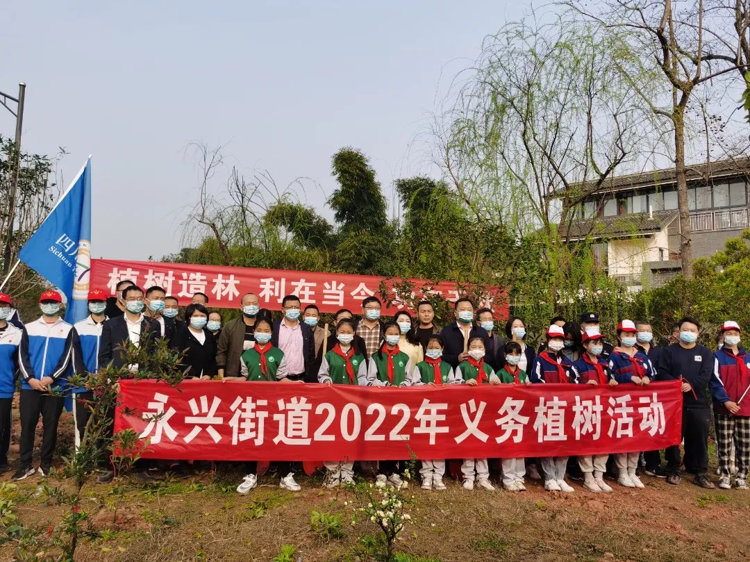 成都天府新区永兴镇小学规划,天府新区永兴小学