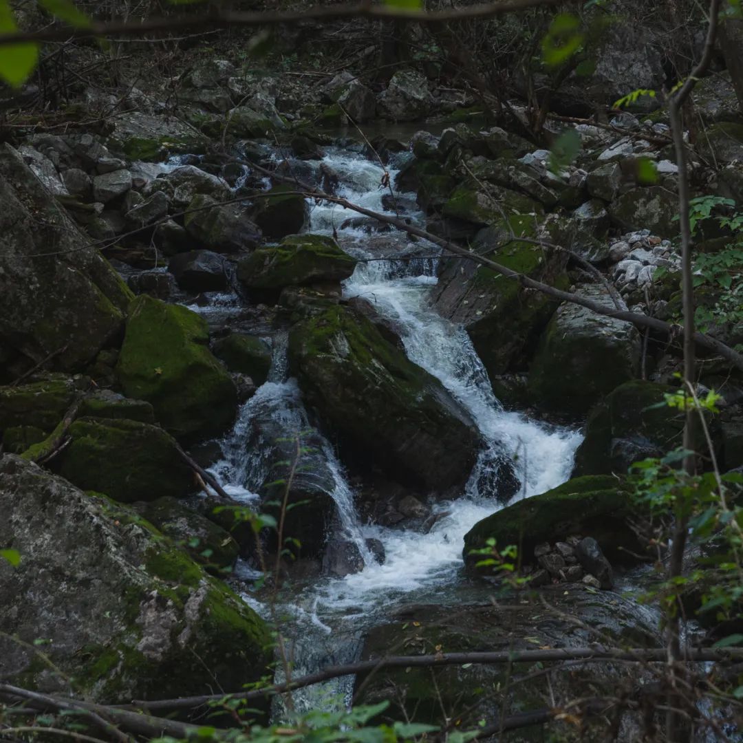太白山是陕西最高点吗,秦岭最高峰太白山