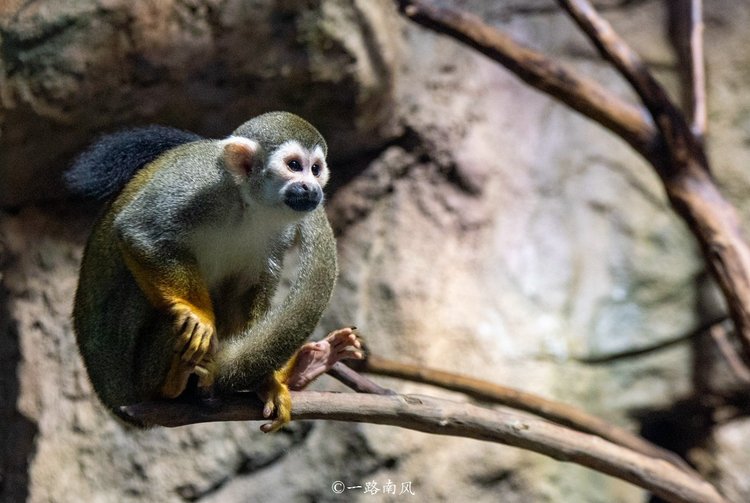 福州永泰，一个低调但很迷人的地方，好玩有故事值得一游