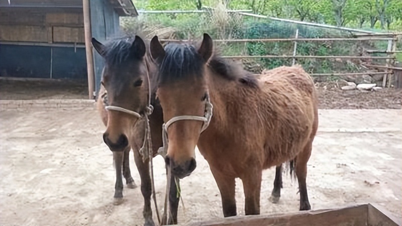 来农家乐的乐趣,来山水农家享受大自然的美景