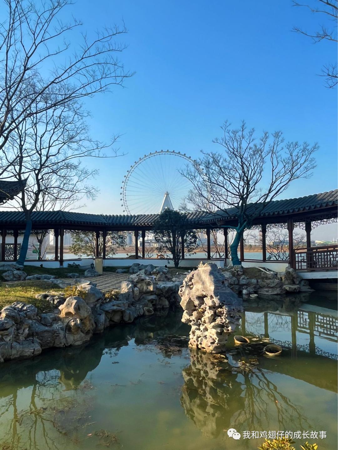 爱美丽推荐打卡第76|合肥必打卡|草坪+湖泊+游乐园+萌宠市集+花海