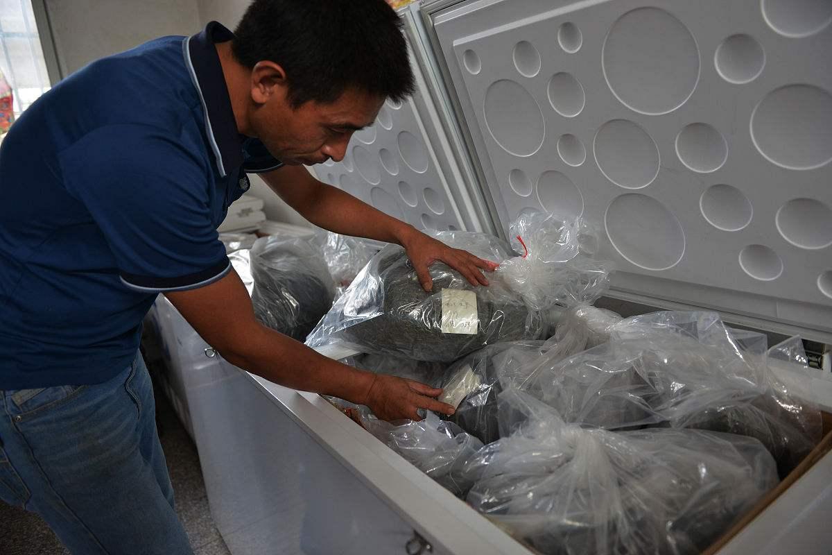 茶叶受潮怎么泡茶好喝呢,茶叶受潮没有茶香了