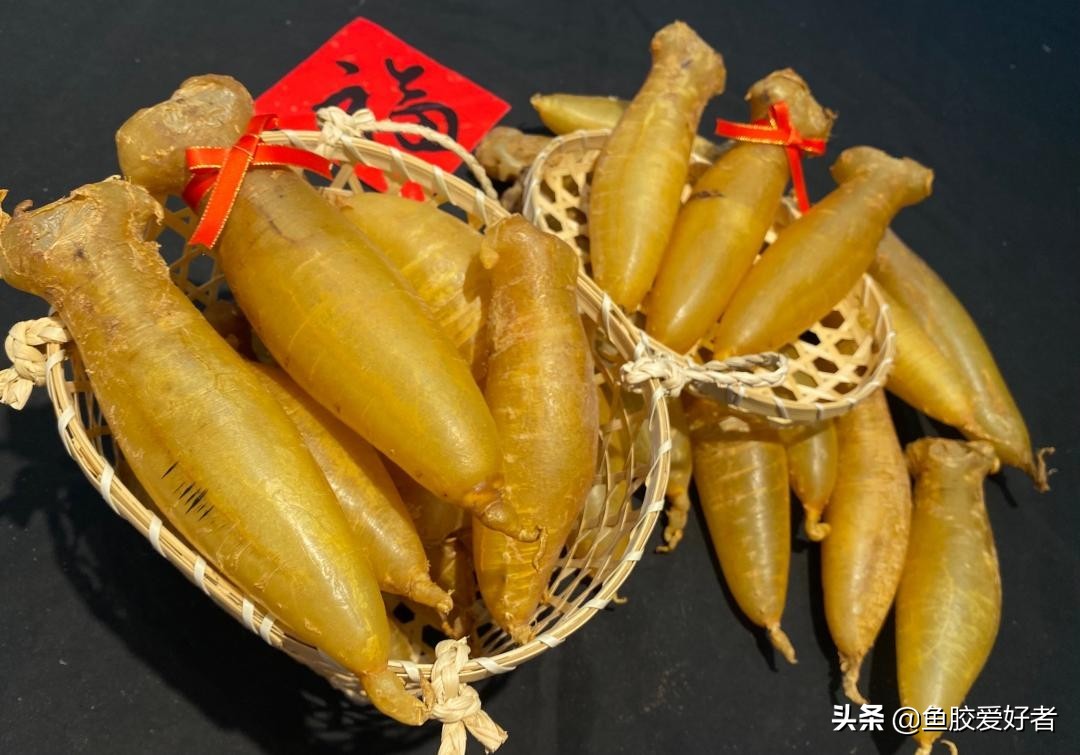 购买鱼胶之前这些常识你必须看看,不建议入手的鱼胶