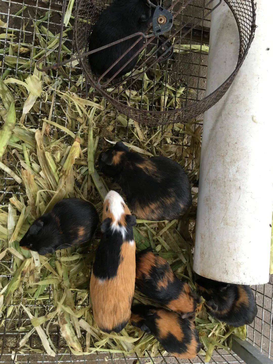 旭光电动车行,旭光车行向阳路