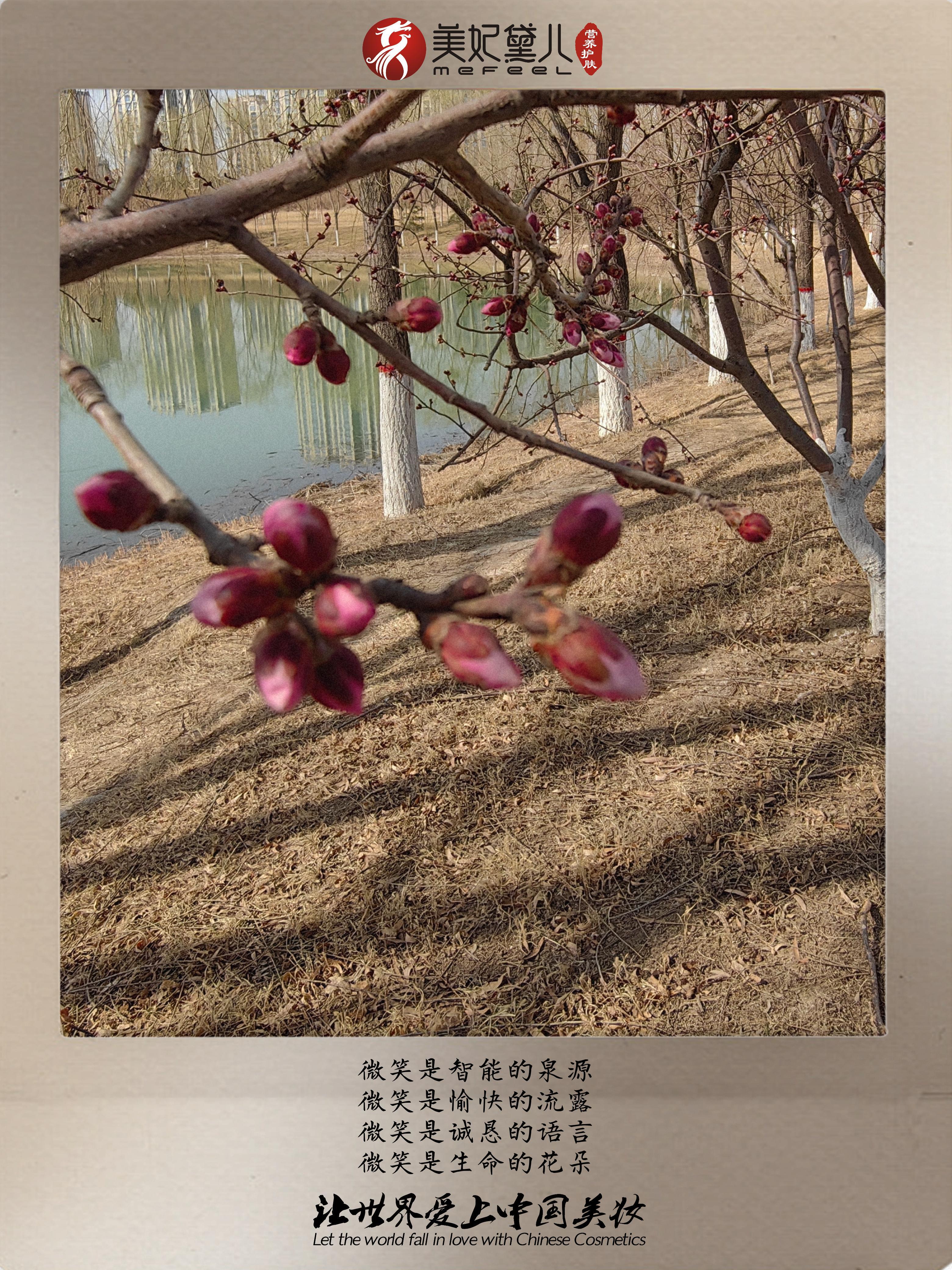 美妃黛儿：同向春风绽