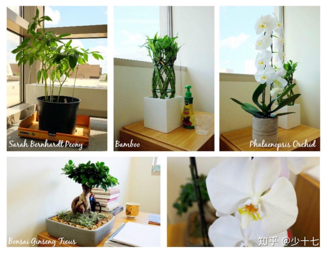 师兄读博士五年发了一篇sci被拒,想读博但没发过论文