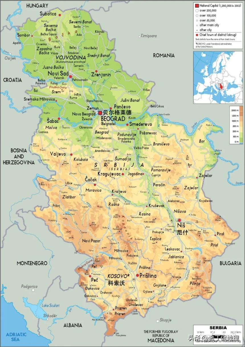 世界杯塞尔维亚球员分析32强巡礼,世界杯巡礼塞尔维亚队