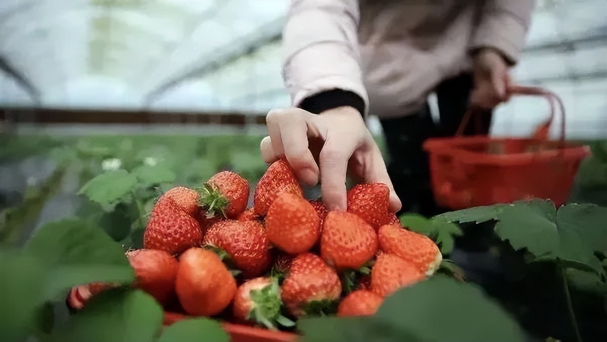 永靖旅游攻略一日游多少钱,永靖秋日一日游必去景点